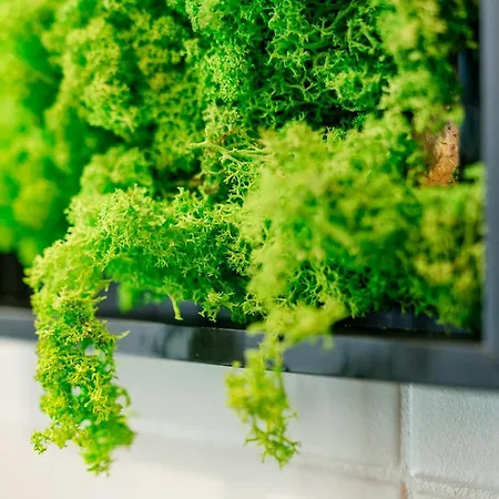 W11 - Loftaffair Ξενοδοχείο με διαμερίσματα 3*